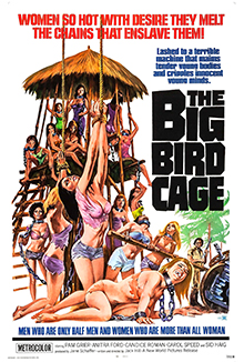 The big bird cage