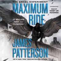 The Angel Experiment